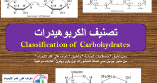 تقسيم الكربوهيدرات Classification of Carbohydrates