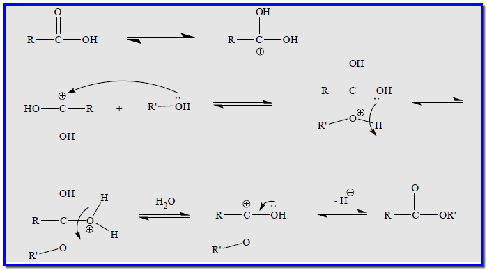 حمض البنزويك Benzoic acid - تجربة أسترة حمض البنزويك