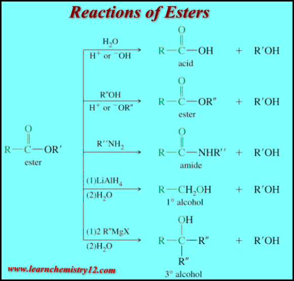 الإسترات: الخواص الفيزيائية والكيميائية للإسترات Esters