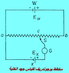 قياس القوة الدافعة الكهربائية (e.m.f) وطرق تعيين جهد الخلية