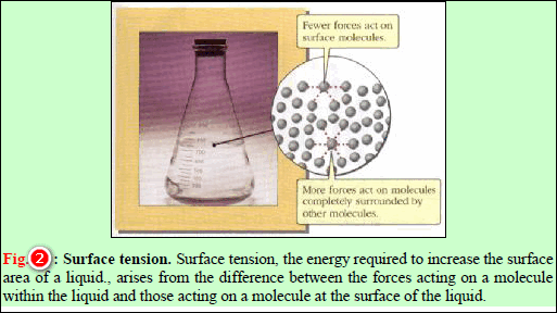 تفسير ظاهرة التوتر السطحي Surface Tension