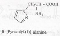 البيرازول والإيميدازول Imidazole and Pyrazole