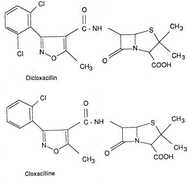 الثيازول والأيزوثيازول Thiazole and Isothiazole