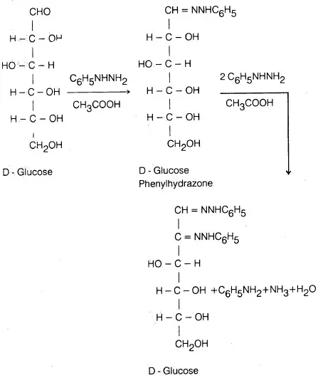 تفاعلات الكربوهيدرات أحادية التسكر Monosaccharides Reactions