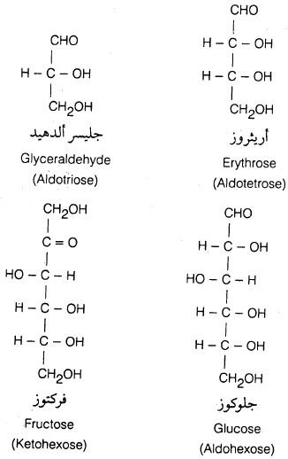 أنواع السكريات Saccharides types (أنواع الكربوهيدرات)