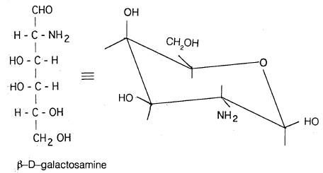 أنواع السكريات Saccharides types (أنواع الكربوهيدرات)