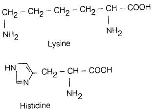 تسمية الأحماض الأمينية Nomenclature of Amino acids