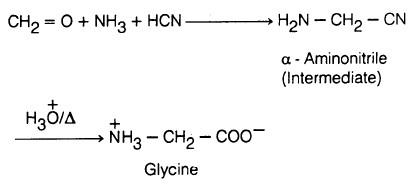 تحضير الأحماض الأمينية Preparation of amins acids