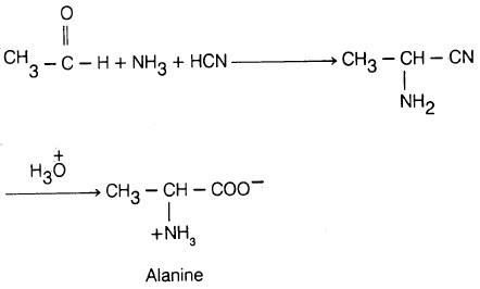 تحضير الأحماض الأمينية Preparation of amins acids