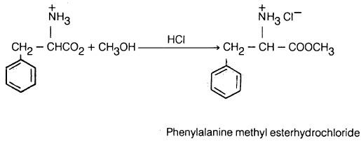 تفاعلات الأحماض الأمينية Reactions of amino acids