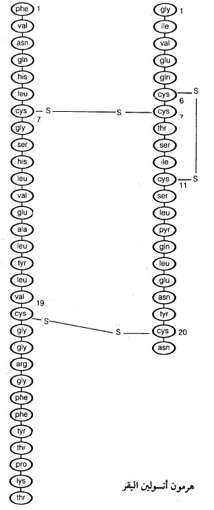 الببتيدات Peptides ( التركيب الكيميائي - التسمية - طرق التحضير)