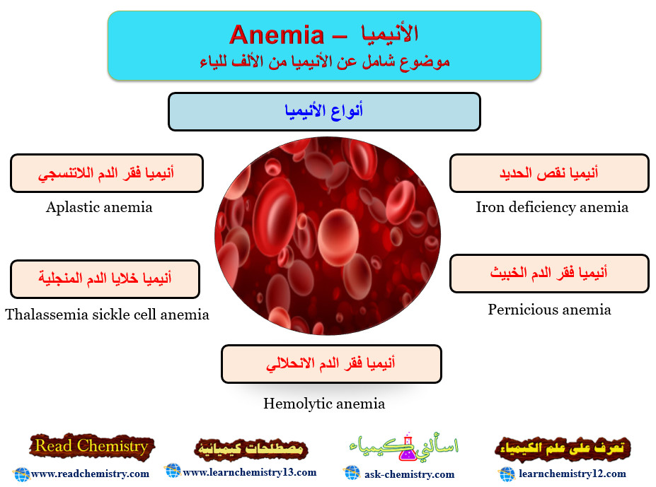 الأنيميا Anemia – موضوع شامل عن الأنيميا من الألف للياء