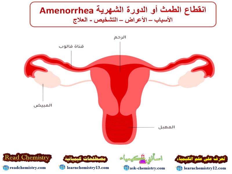 انقطاع الطمث أو الدورة الشهرية Amenorrhea