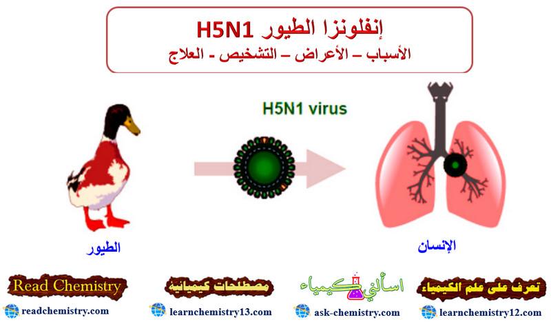 إنفلونزا الطيور H5N1 - الأسباب الأعراض العلاج