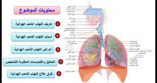 التهاب الشعب الهوائية Bronchitis
