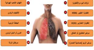 أمراض الصدر والجهاز التنفسي