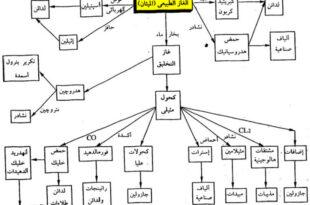 انتاج المواد الكيميائية من الغاز الطبيعي