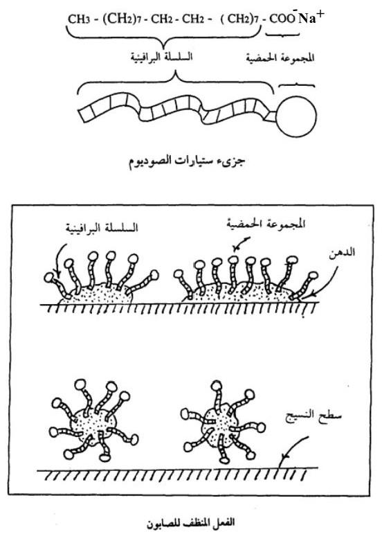 الفعل المنظف للصابون - كيف يقوم الصابون بعملية التنظيف؟