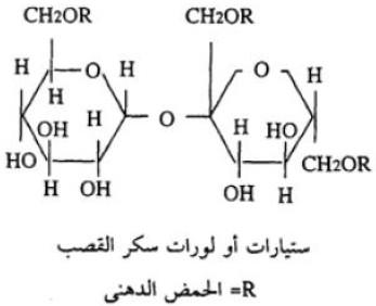 أنواع المنظفات الصناعية وتركيبها