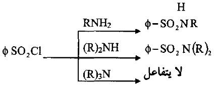 تفاعلات الأمينات Reaction of Amines