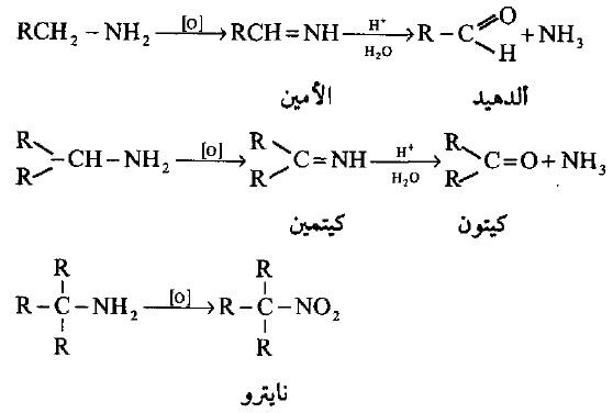 تفاعلات الأمينات Reaction of Amines
