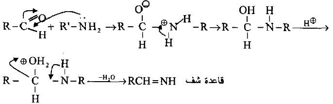 تفاعلات الأمينات Reaction of Amines