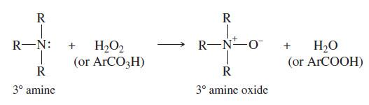 تفاعلات الأمينات Reaction of Amines