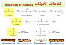 تفاعلات الأمينات Reaction of Amines