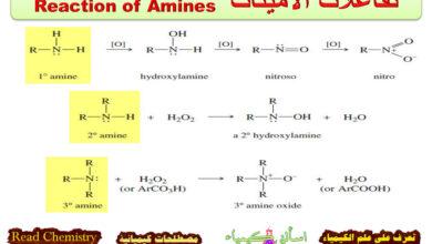 تفاعلات الأمينات Reaction of Amines