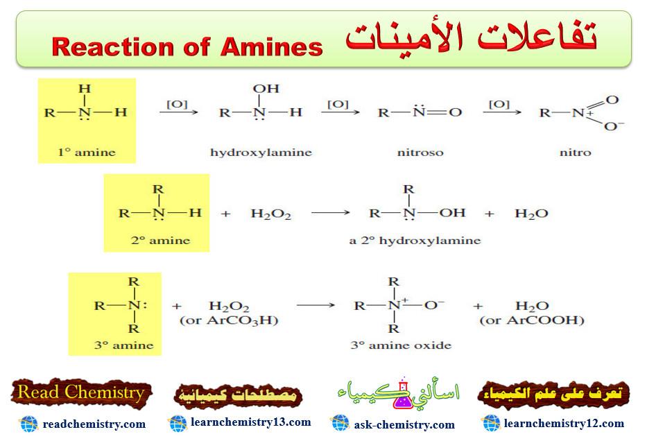 تفاعلات الأمينات Reaction of Amines