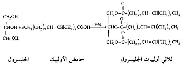 الأحماض الدهنية Fatty Acids