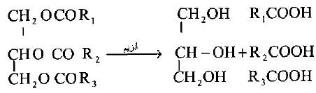 الدهون والزيوت